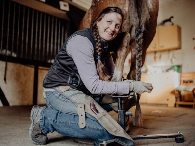 reitbürste, Pferdesport, Hufeisen, Reitausrüstung, Stalldienst
