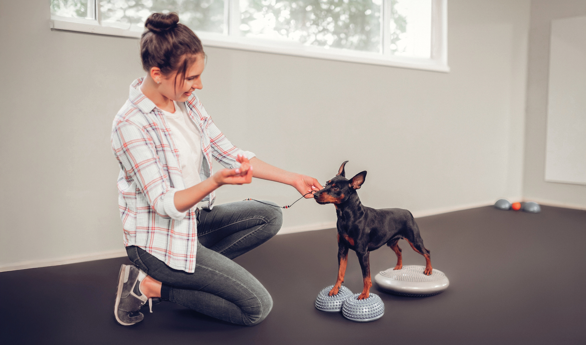 Hundetrainingsmatte, Balancekissen, Noppenoberfläche, Gleichgewichtstraining
