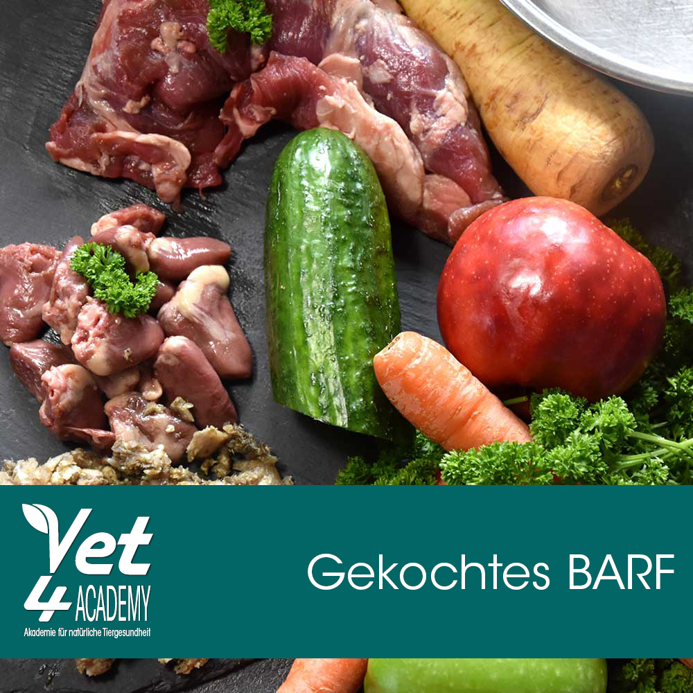 Videoaufzeichnung - gekochtes BARF - wenn roh nicht vertragen wird oder der Hund mäkelt Videoaufzeichnung - gekochtes BARF - wenn roh nicht vertragen wird oder der Hund mäkelt