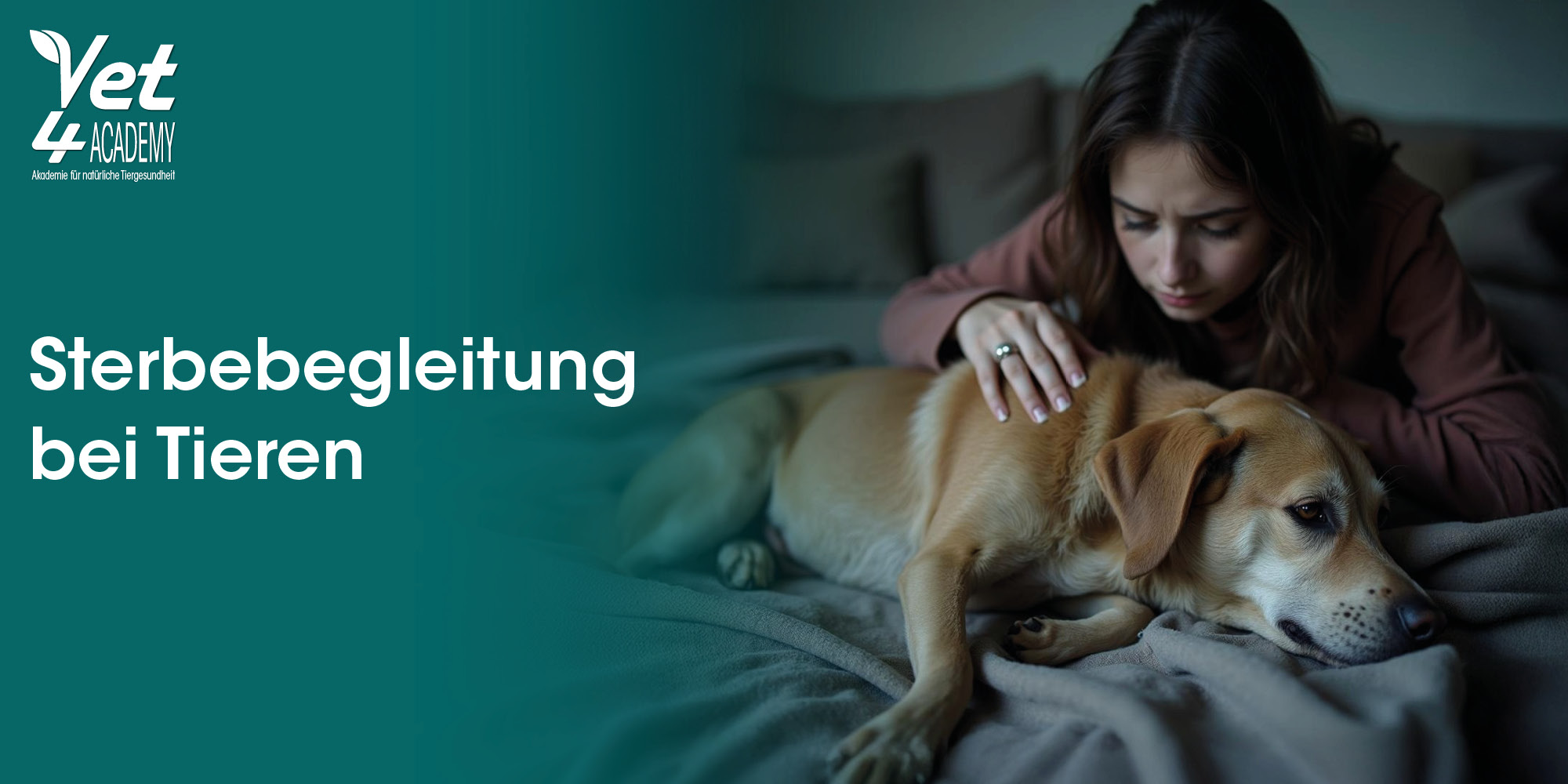 Hund, Erwachsener, Weiblich, Person, Frau, Hund, Erwachsener, Weiblich, Person, Frau, Hund, Erwachsener, Weiblich, Person, Frau, tierarzt, tierhilfe, haustier, tiergesundheit, pflege