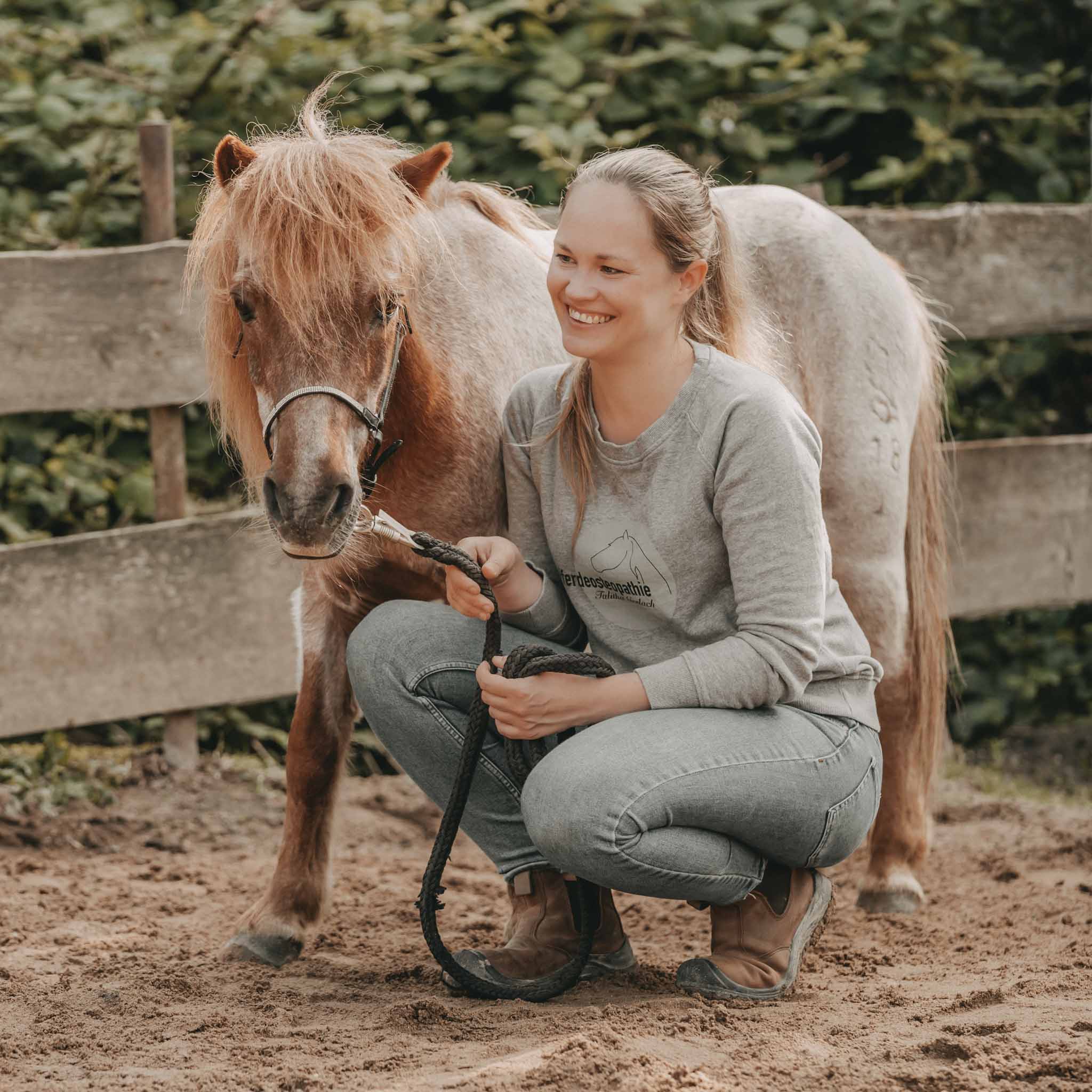 Pony, Pferd, Hilfe beim Reiten, Sattelpflege, Garten/Outdoor