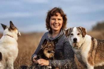 Hunde, Frau, Outdoor, Hund, Hundegruppe, Hund, Hündin, Blickkontakt, Graslandschaft, Outdoor