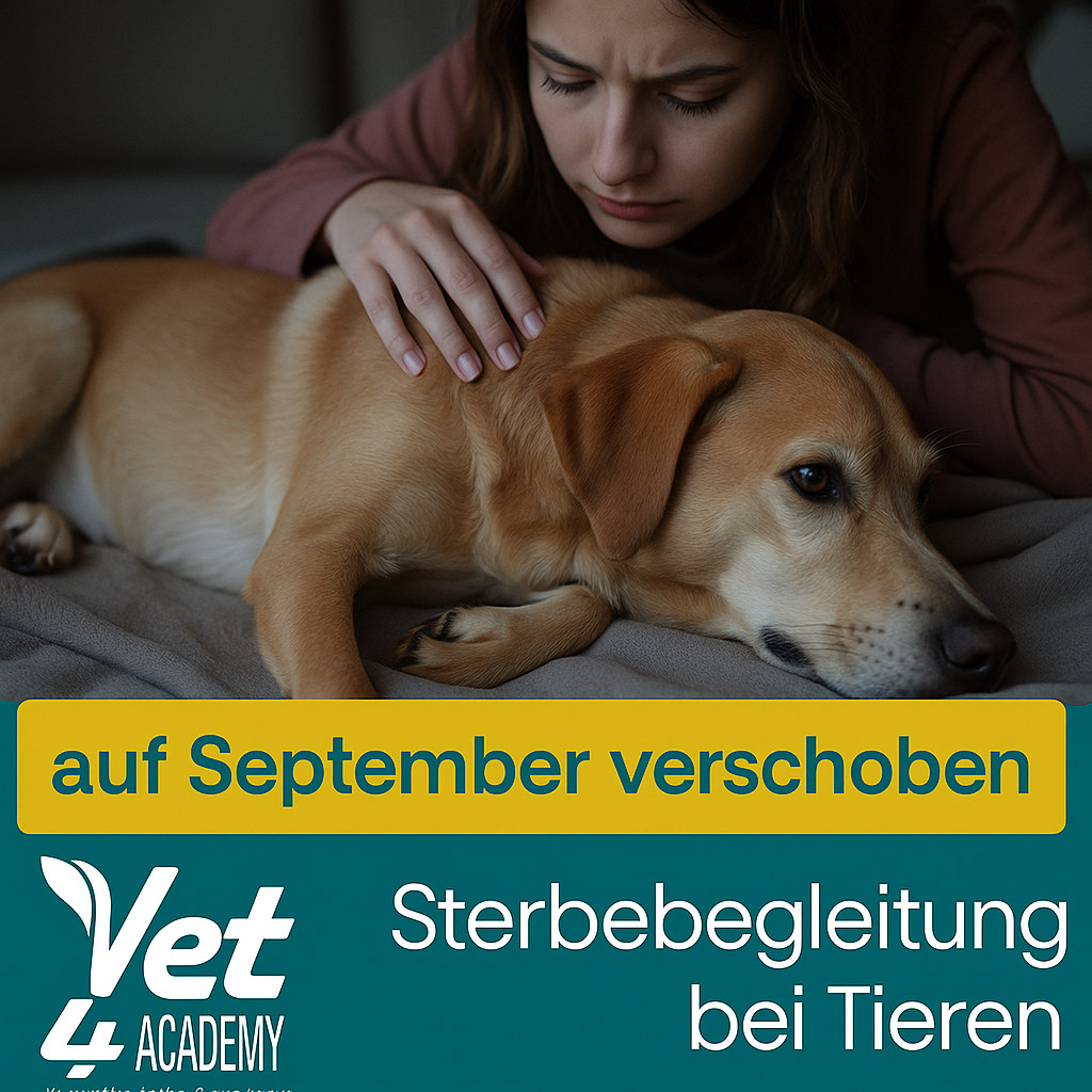 Hund, Werbung, Person, Finger, Gesicht